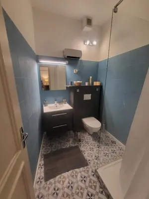 a bathroom with a toilet and a sink at Appartement Cosy centre ville in LʼIsle-sur-la-Sorgue