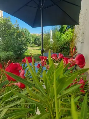a group of red flowers with an umbrella at ENTRE VENTOUX ET LUBERON Chambre d'hôte in Sault-de-Vaucluse