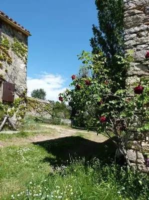 a stone building with a bush with red roses at Provencal farmhous Lubéron, swimming pool in Revest-des-Brousses