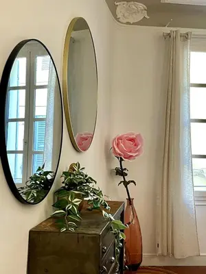 two mirrors on a wall with a flower in a vase at Charmant appartement T2 / 58 m2 / 4 personnes in Aix-en-Provence