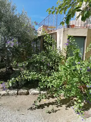 a bush with purple flowers in front of a building at Chambre d'hôte in Crillon-le-Brave