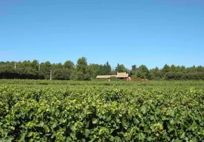 a field of crops with a barn in the background at Proche Roussillon, La villa rouge Luberon, piscine chauffée, climatisation et vue Luberon in Gargas