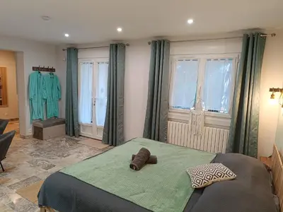 a bedroom with a large bed with green sheets and windows at Écrin de nature sous les pins in Aurons