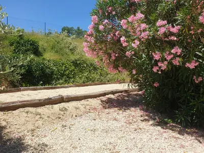 a bush with pink flowers next to a road at Gîtes L'HERMITAGE in La Tour-dʼAigues