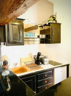 a kitchen with a sink and a counter top at Appartement Le Provençal in Aix-en-Provence