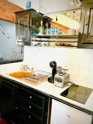 a kitchen with a sink and a toaster on a counter at Appartement Le Provençal in Aix-en-Provence