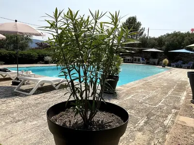 a plant in a pot next to a pool at Chambre d'hôtes chez Maguy B-Villa Makeire in Gordes