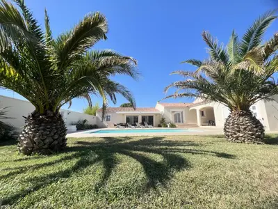 two palm trees in front of a house at La perle du sud in Carpentras