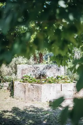 a concrete planter with a plant in it at Le Domaine du Printemps in Monteux