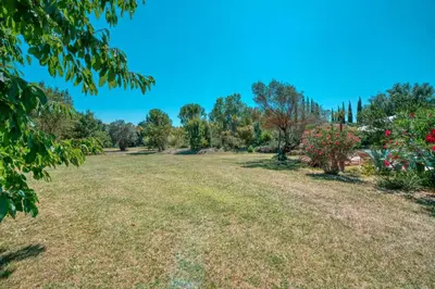 a large grass field with trees in the background at Le Domaine du Printemps in Monteux
