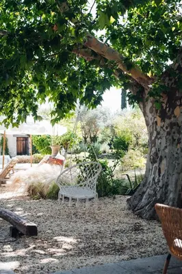 a swinging chair under a tree in a yard at Le Domaine du Printemps in Monteux