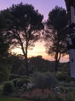 a view of a garden with trees at sunset at Lou Pantai, Bed and Breakfast, Delux Bedroom with AC in Aix-en-Provence