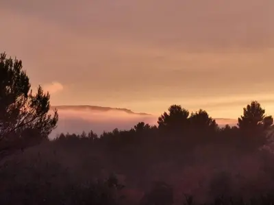 a foggy sunrise over a forest with trees at Entre Ventoux et Luberon, appartement dans maison. in Malemort-du-Comtat