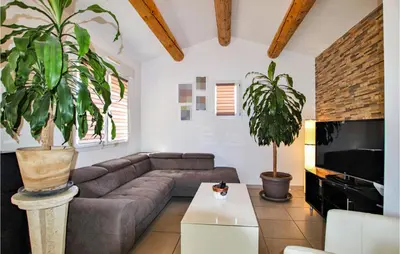 a living room with a couch and two potted plants at Gorgeous Home In Aubignan in Aubignan