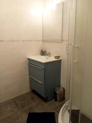 a bathroom with a sink and a mirror and a shower at Les Studios proche du Mont Ventoux in Mazan