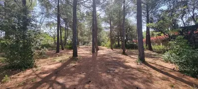a dirt road in a forest with trees at Chambre d'hôte BB proche d'Aix en Provence in Éguilles