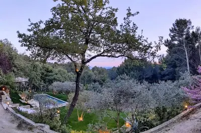 a tree in a garden with a swimming pool at VILLA VOGA- Luxury family holidays Aix-en-Provence in Éguilles