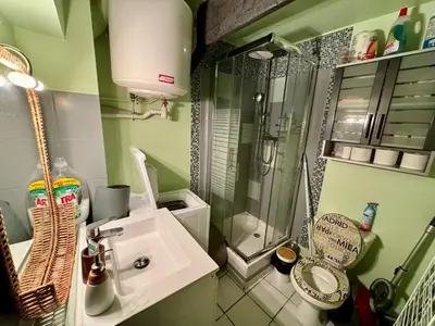a small bathroom with a sink and a shower at Studio cosy hypercentre Aix in Aix-en-Provence