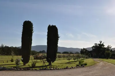 a park with trees and a picnic table in a field at Mas Clement - Chambre et table d'hôtes in LʼIsle-sur-la-Sorgue