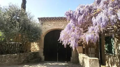 a tree with purple flowers in front of a building at Chambre privée dans un MAS au centre du Village in Maubec