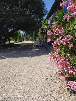 a garden with pink flowers next to a building at La maison de Nazig in Pertuis