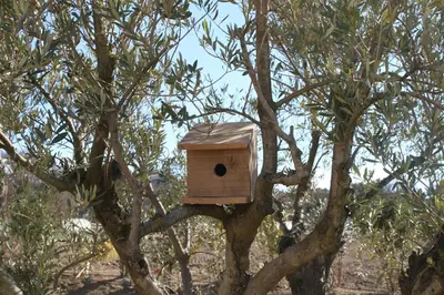 a wooden birdhouse sitting on top of a tree at Mas en campagne in Mallemort