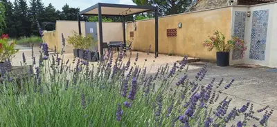 a garden with purple flowers in front of a building at Loft en duplex au Mas de la Restanque in Monteux