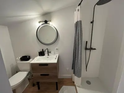 a bathroom with a sink and a mirror and a toilet at Jolie maison avec vue imprenable, piscine, jeu de boules, calme au cœur du Luberon in Les Cordiers