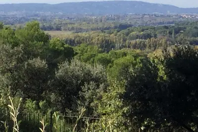 an overhead view of a forest of trees at Villa Maya Large villa and amazing pool in Luberon in Puget