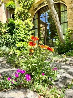 a garden with flowers in front of a building at Villa Hautvallon - Peaceful Escape in Provence in Gordes