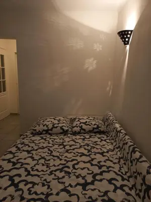 a bedroom with a bed with a black and white blanket at Aix en Provence - Rotonde - Cours Mirabeau in Aix-en-Provence