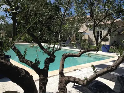 a tree in front of a swimming pool at Mas du Soleil in Caumont-sur-Durance