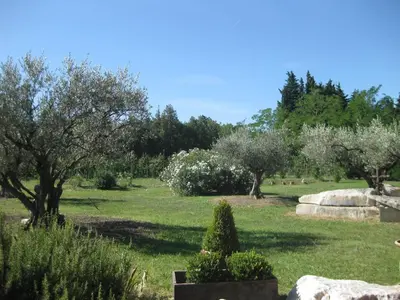 a field with trees and bushes in a park at Mas du Soleil in Caumont-sur-Durance