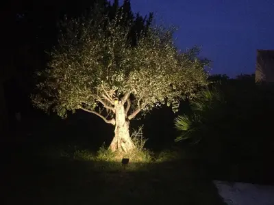 a tree lit up at night with a bench under it at Mas du Soleil in Caumont-sur-Durance