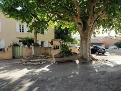 a tree in a parking lot next to a house at Maisonnette au pied du Mont Ventoux ste colombe in Bédoin