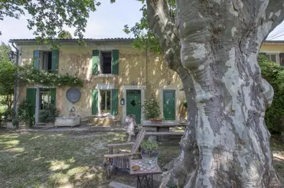 a house with a tree in front of it at Le Mas des Anges in Cabannes