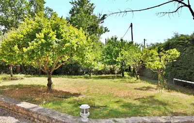 a garden with a tree in a field at La Villa Du Soleil in Lacoste