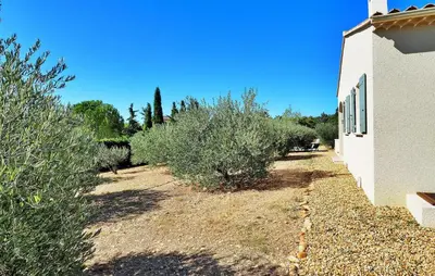 a row of olive trees next to a building at Li Vue Vent in Saint-Rémy-de-Provence