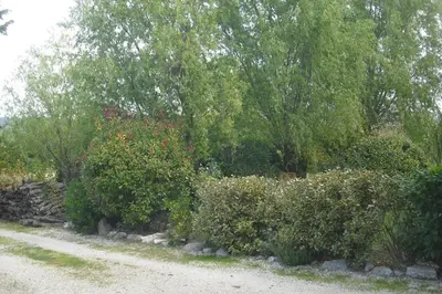 a garden with bushes and trees and a dirt road at Lou mas li Pitchoun 