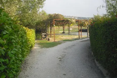 a dirt road with a gate in a garden at Lou mas li Pitchoun 