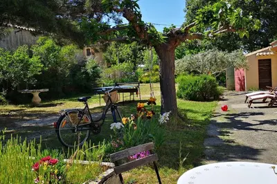 a bike parked next to a tree in a yard at Au goût du miel. Luberon-Provence. in Maubec
