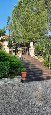 a group of stairs with plants and a tree at Chambre d'hôte suite Tournesol 