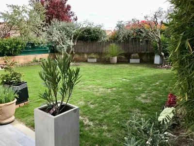 a garden with potted plants in a yard at Les 2 Oliviers in Caromb