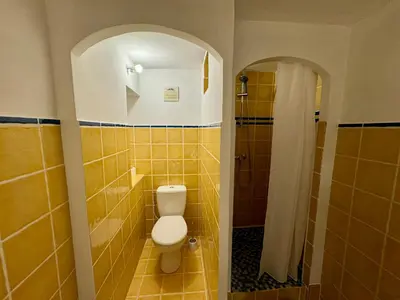 a bathroom with a toilet and a shower at Les 2 Oliviers in Caromb