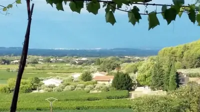 a view of a green field from a tree at Masmazan in Mazan