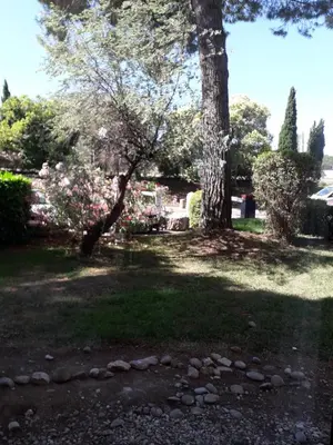 a park with a tree and some grass and trees at Studio 007 à Aix in Aix-en-Provence