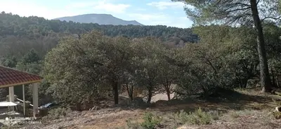a house with trees and a mountain in the background at LA BASTIDETTE PROVENçALE in Jouques