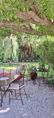 a group of tables and chairs under a tree at Cherche Midi in Noves