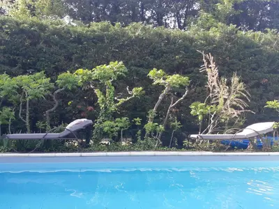 two chaise lounges next to a swimming pool at Cherche Midi in Noves