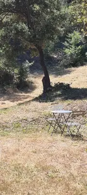 a picnic table in a field next to a tree at LES BOIS DE ZOLA entre Provence et Luberon in Saint-Estève-Janson
